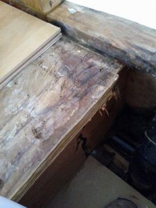 Moldy Wood Restoration