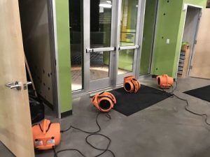 Drying and Dehumidifying Services