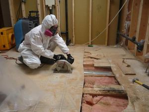 911 Mold Removal From Basement Long Island
