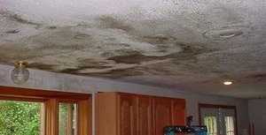 911 Restoration mold removal Long Island